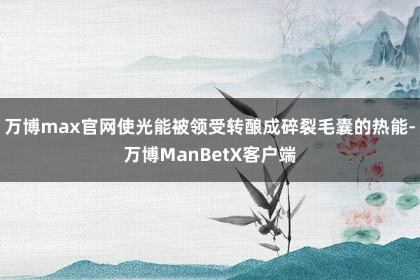 万博max官网使光能被领受转酿成碎裂毛囊的热能-万博ManBetX客户端