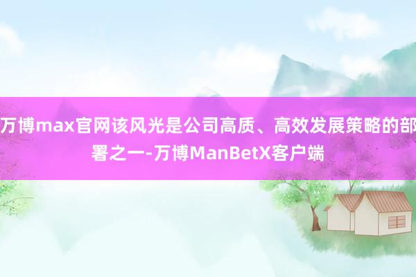 万博max官网该风光是公司高质、高效发展策略的部署之一-万博ManBetX客户端