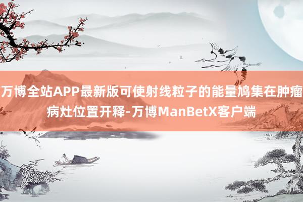 万博全站APP最新版可使射线粒子的能量鸠集在肿瘤病灶位置开释-万博ManBetX客户端
