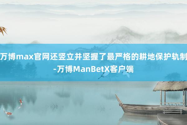 万博max官网还竖立并坚握了最严格的耕地保护轨制-万博ManBetX客户端