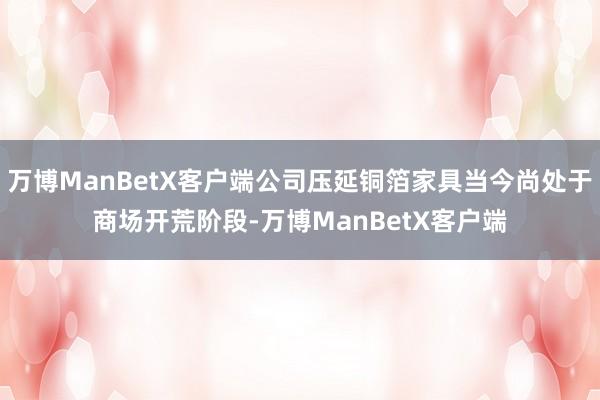 万博ManBetX客户端公司压延铜箔家具当今尚处于商场开荒阶段-万博ManBetX客户端